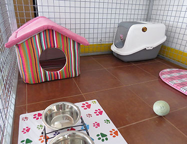 Residência Felina