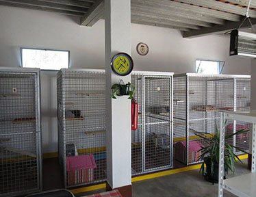Residência Felina