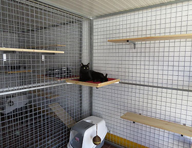 Residência Felina